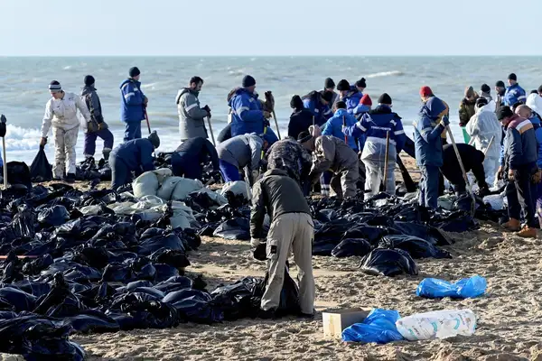 Oil Spill Affects Dolphins
