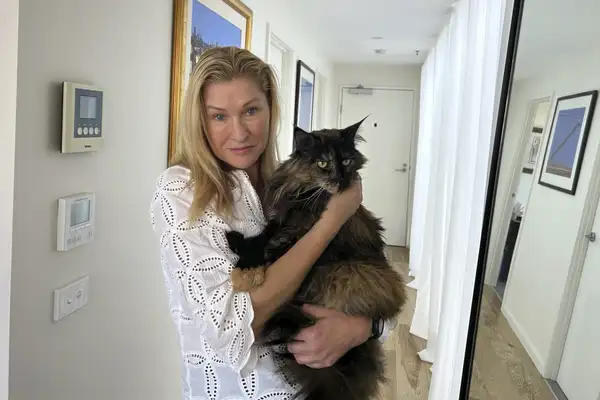 Cat's Unexpected Journey