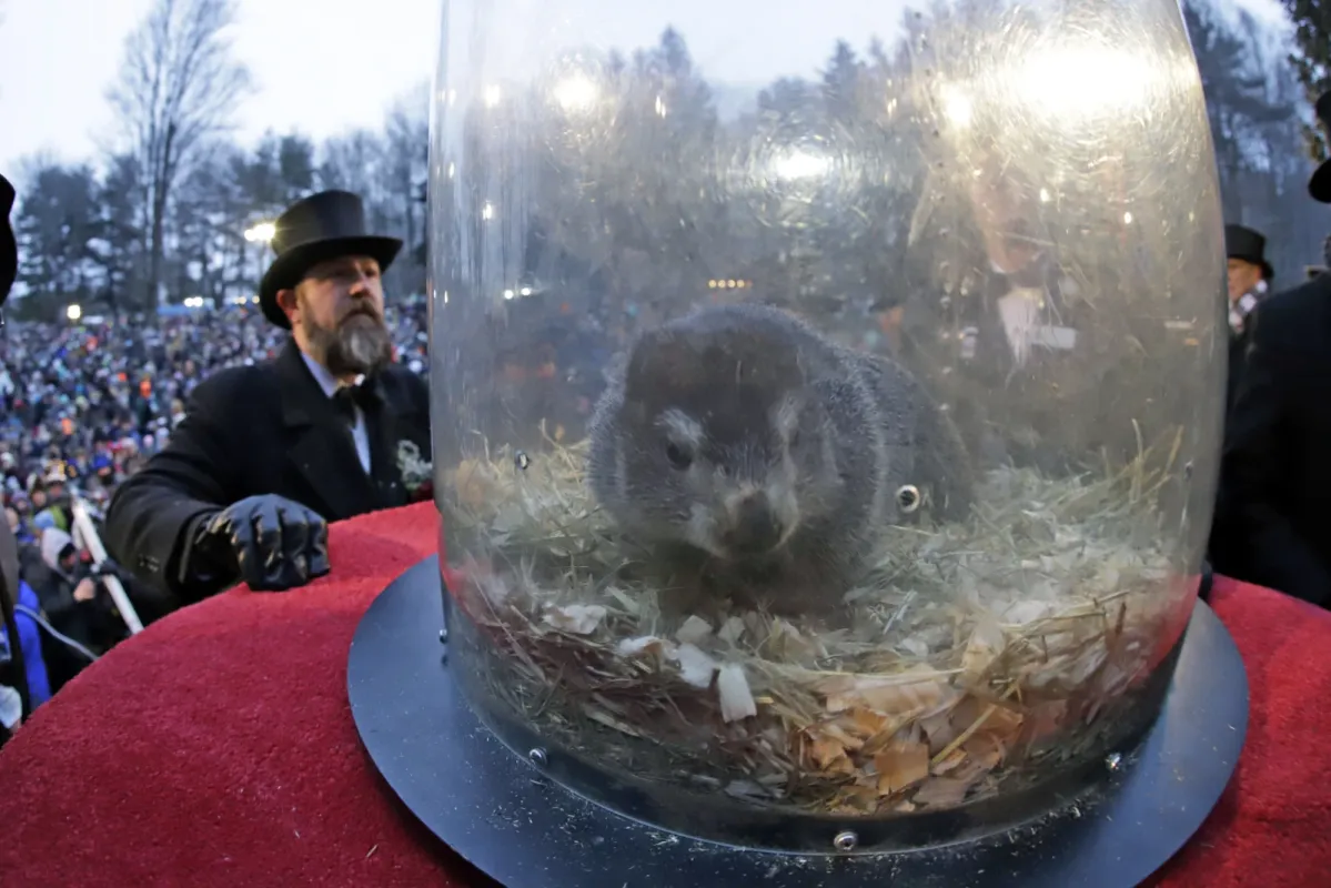 Groundhog Day: A Fun Tradition