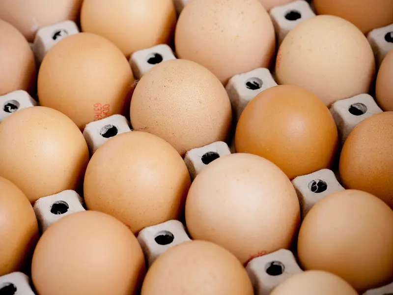 Egg Prices Soar in US