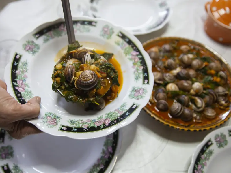 Snails: A Cheap Protein in Tunisia