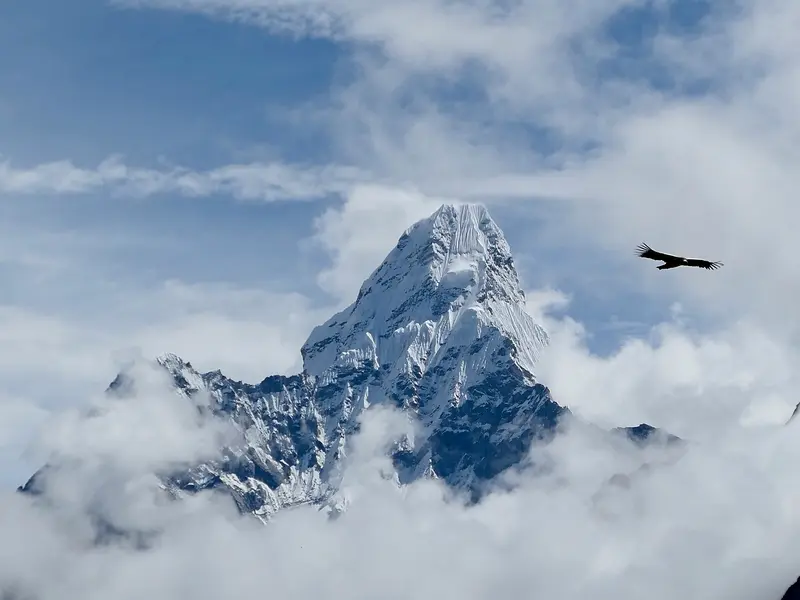 British Climber Breaks Everest Record
