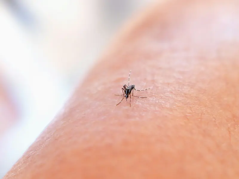 New Approach to Fight Malaria