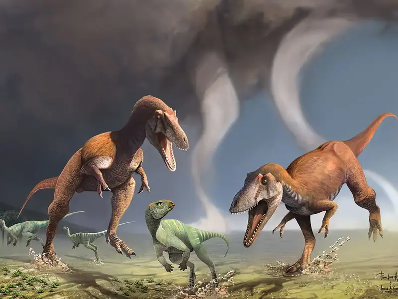 New Dinosaur Discovery Reshapes T.rex Family Tree