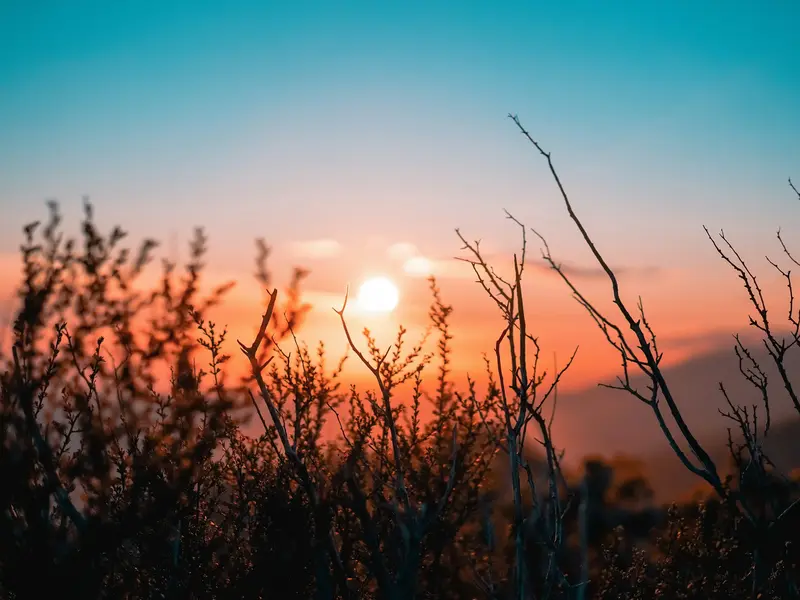 Summer Solstice: The Longest Day