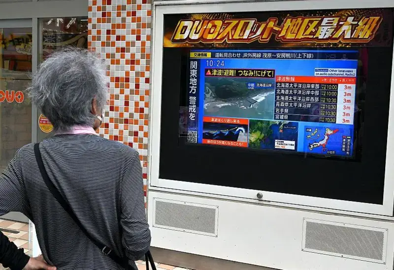 Japan's Fukushima Plant: Tsunami Warning and Nuclear Safety