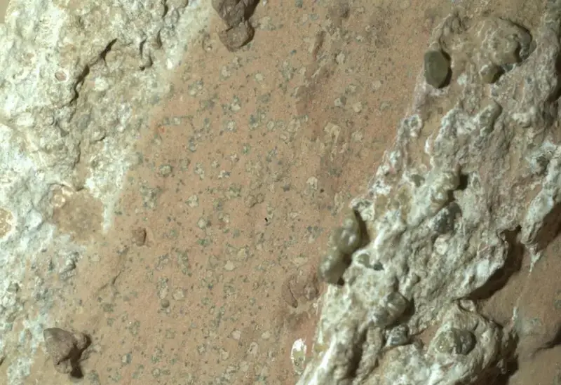 Life on Mars? Unusual Rocks Spark Excitement