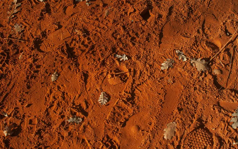 Life on Mars? Unusual Rocks Spark Excitement