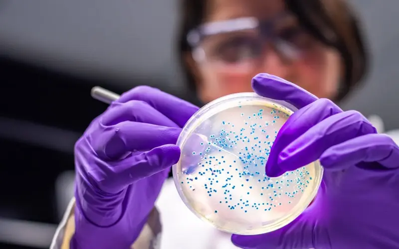 Bacteria: From Waste to Medicine