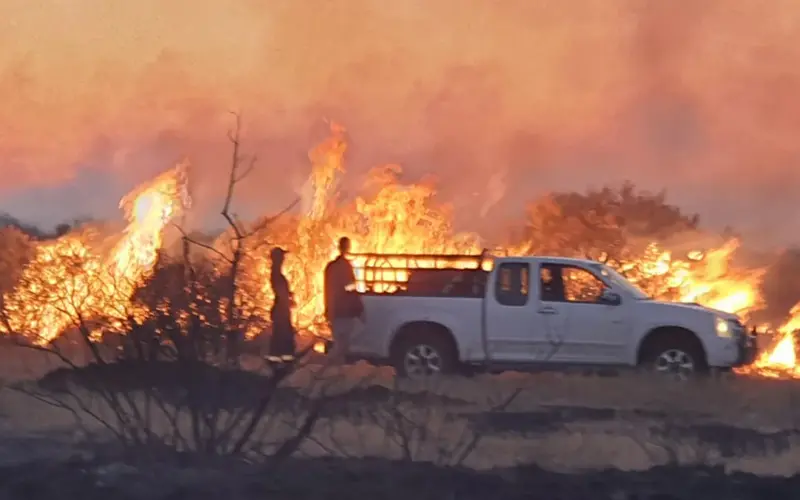 Big Fire in Namibia's Animal Park