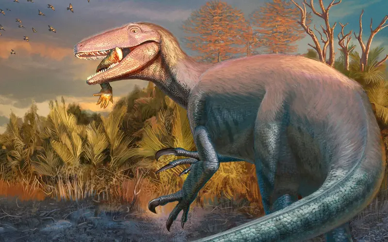 New Dinosaur Discovery in Argentina