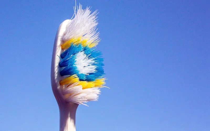 The Microbial World of Your Toothbrush