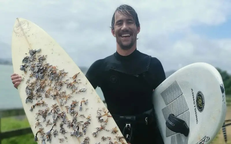 Lost Surfboard's Incredible Journey