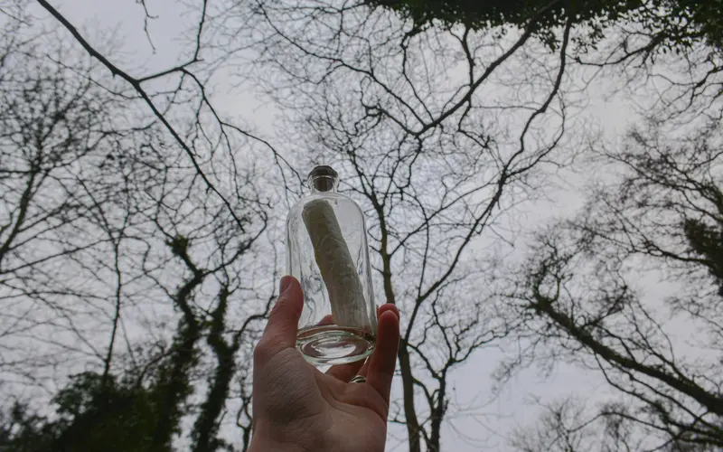 Messages in a Bottle: WWI Soldiers' Letters Found After a Century