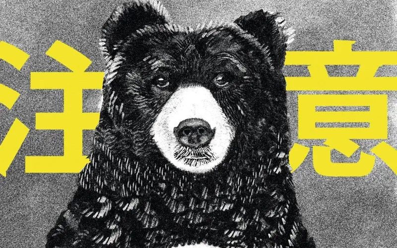 Bears in Japan: Record Attacks and Safety Concerns