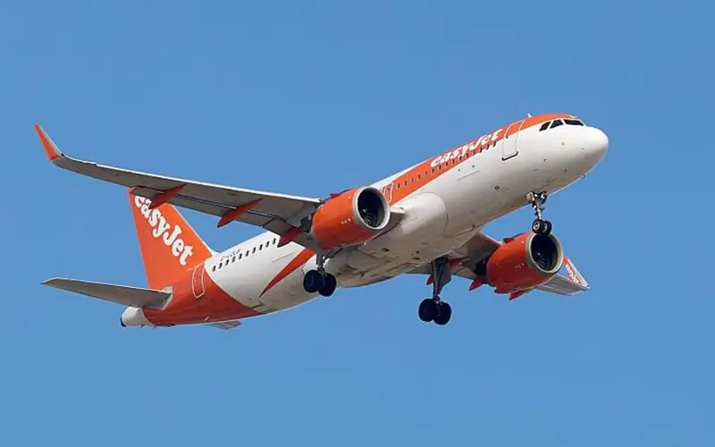 Airbus Software Update: Impact on Flights