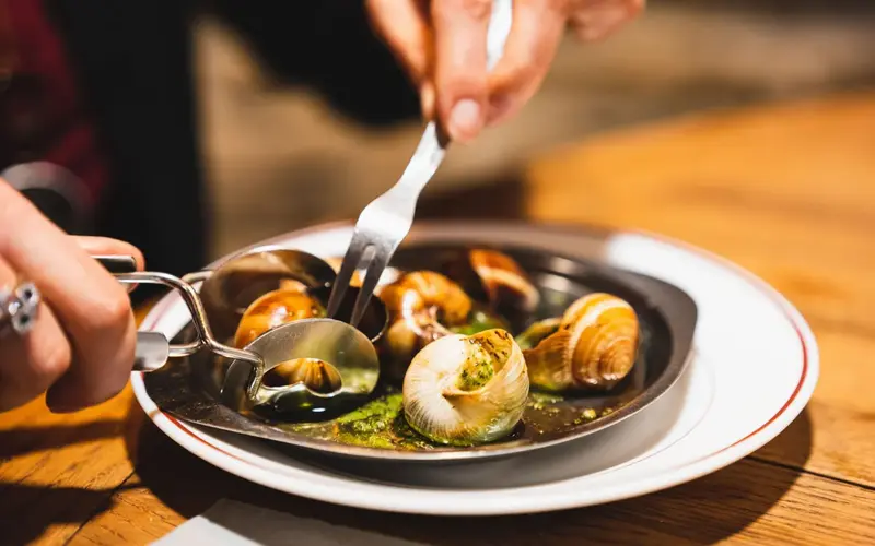 Snails Stolen from French Farm