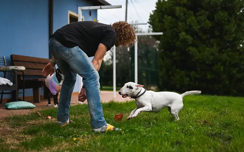 The Power of Short Bursts: How Everyday Activities Can Boost Your Health