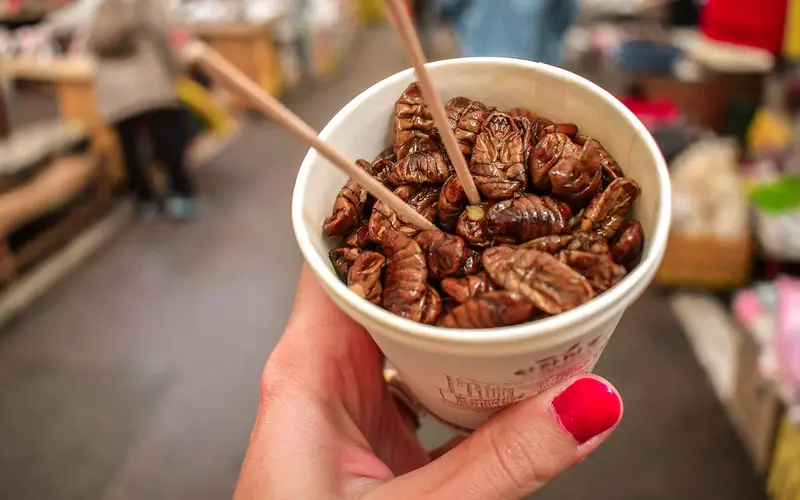Why Many People Find Eating Insects Disgusting
