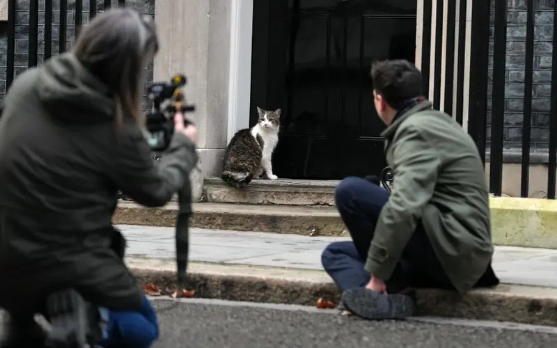 First Feline: Larry Marks 15 Years as Britain's Political Top Cat