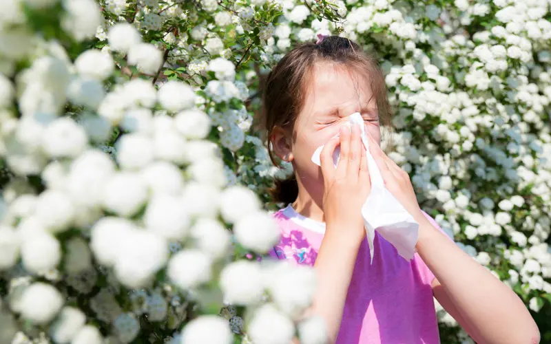 Coping with Peak Cypress and Willow Pollen Across Cities