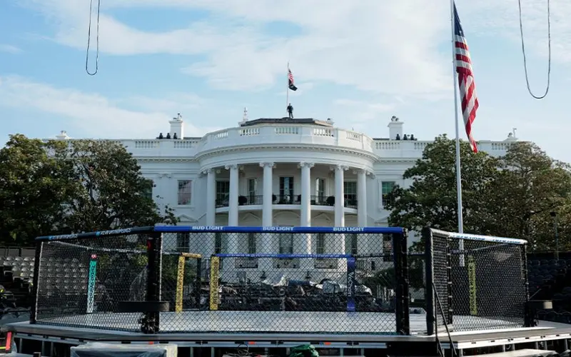 Cage Fight at White House