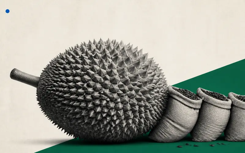 China's Durian Demand Reshapes Vietnamese Coffee Farms
