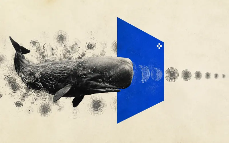 AI Searches for Patterns in Animal Sounds